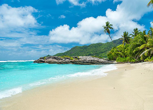 塞舌尔公司年审